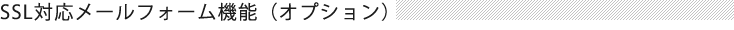 SSLΉ[tH[@\iIvVj